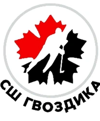 Тренеры Школы хоккея "Гвоздика"